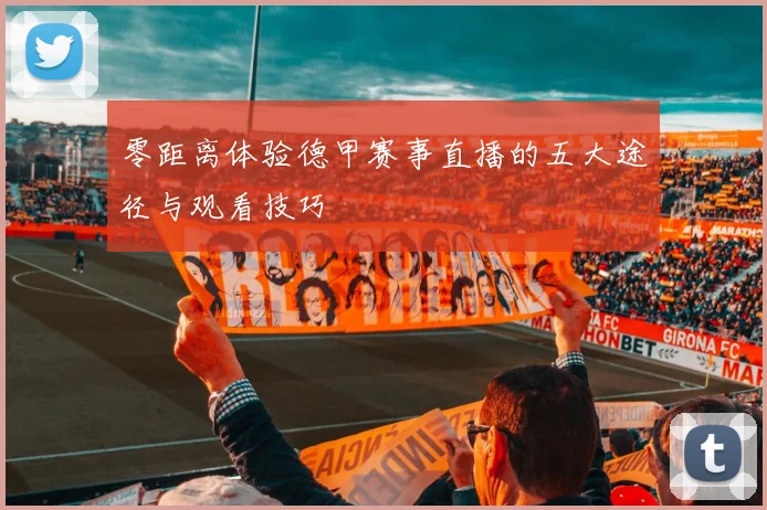零距离体验德甲赛事直播的五大途径与观看技巧