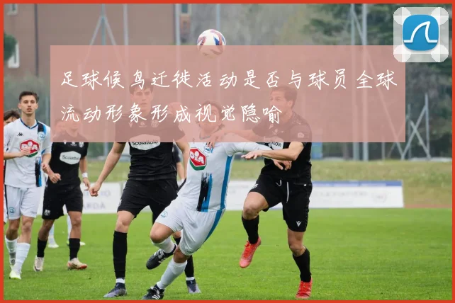 足球候鸟迁徙活动是否与球员全球流动形象形成视觉隐喻