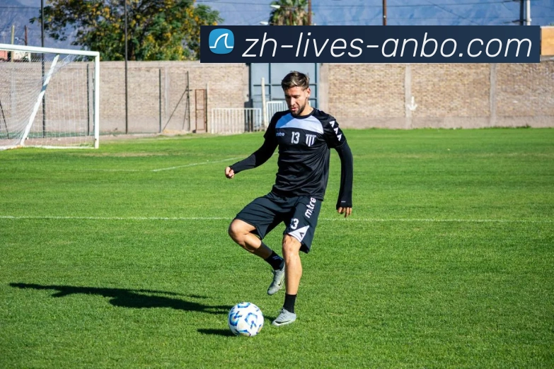 安博体育平台生态图